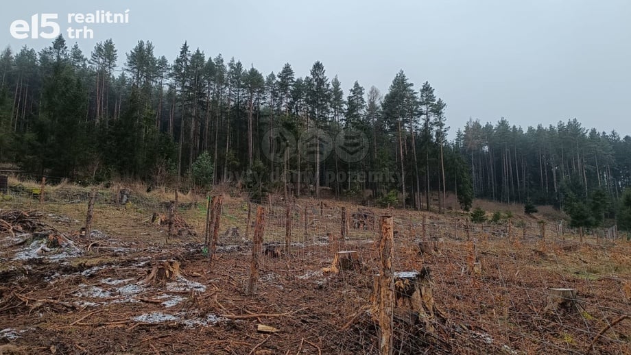 Prodej lesy, 37 567 m² - Vacovice