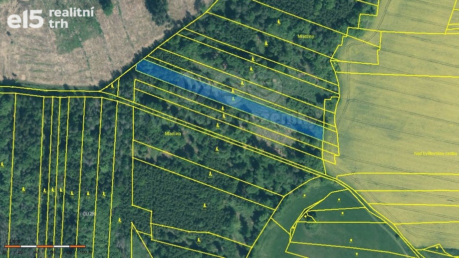 Prodej lesy, 4 125 m² - Stehlovice
