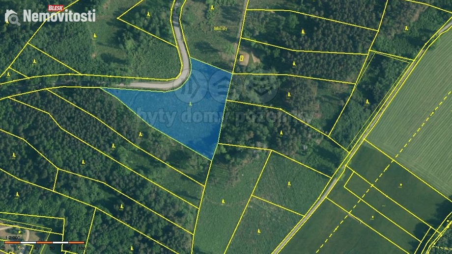 Prodej lesa 9 032 m², Stožice - Křepice