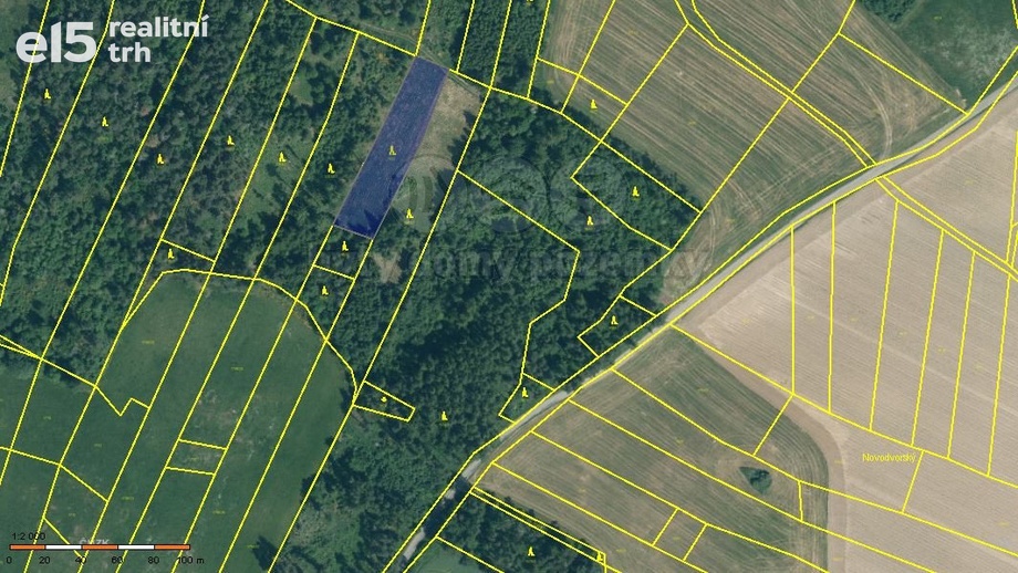 Prodej lesy, 3 635 m² - Malý Bor
