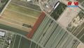 Prodej pole 2 005 m², Podivín