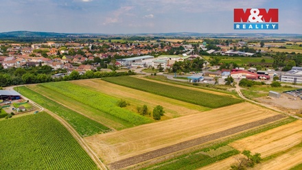 Prodej pole 2 005 m², Podivín