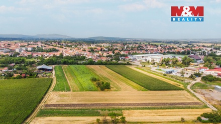 Prodej pole 2 005 m², Podivín