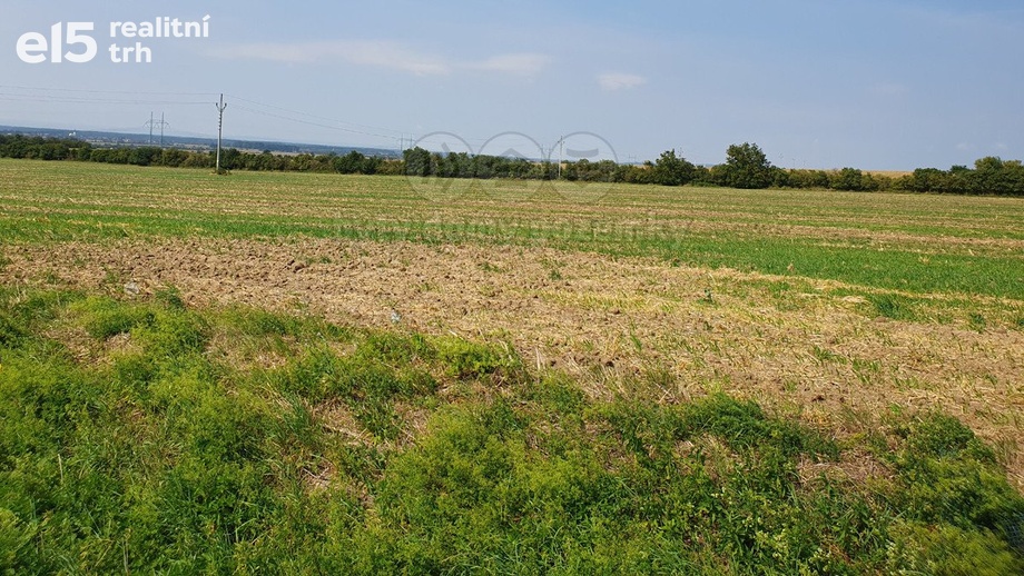 Prodej zemědělská půda, 59 311 m² - Říkovice