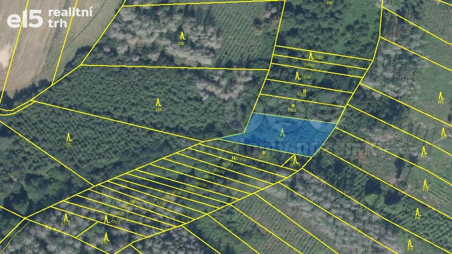 Prodej lesy, 870 m² - Havlíčkův Brod - Mírovka