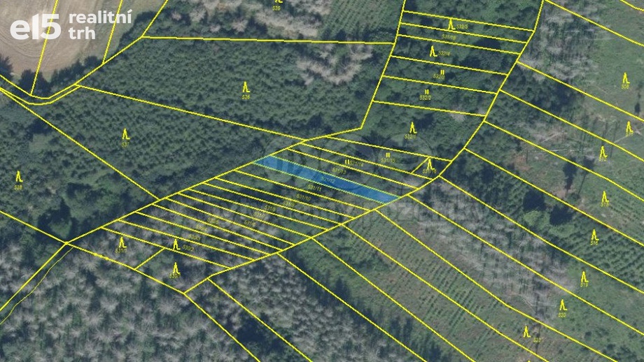 Prodej lesy, 281 m² - Havlíčkův Brod - Mírovka