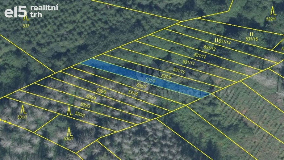 Prodej lesy, 212 m² - Havlíčkův Brod - Mírovka