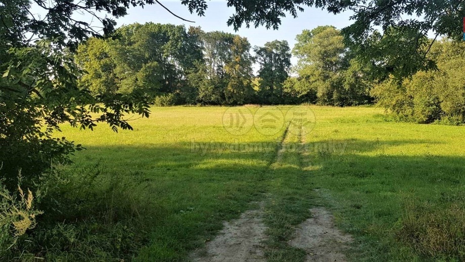 Pronájem zahrady 9 756 m², Opava - Zlatníky