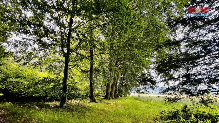 Prodej lesa 1 312 m², Libchavy - Dolní Libchavy