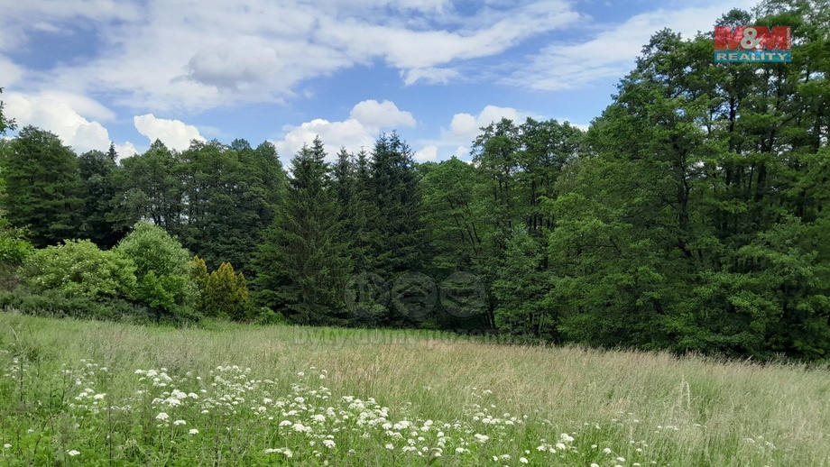 Prodej pozemky - trvalý travní porost, 19 732 m² - Oselce - Kotouň