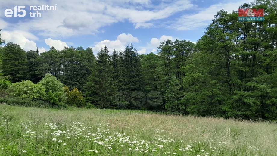 Prodej pozemky - trvalý travní porost, 19 732 m² - Oselce - Kotouň