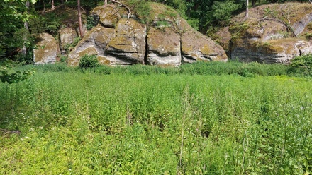 Prodej louky 1 003 m², Vysoká