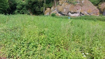 Prodej louky 1 003 m², Vysoká