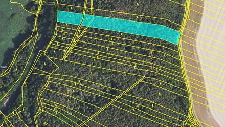 Prodej lesa 9 036 m², Lužná