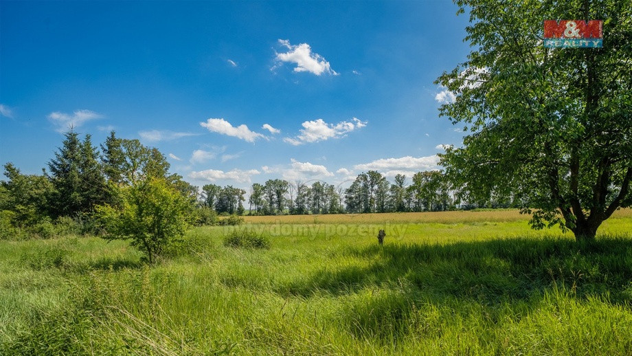 Prodej stavebního pozemku 1 147 m², Loucká