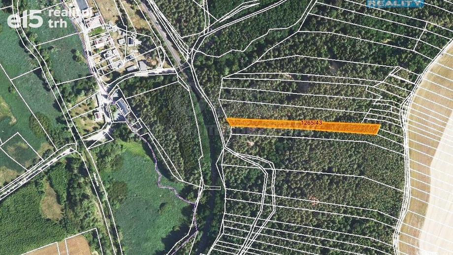 Prodej lesy, 3 507 m² - Lužná