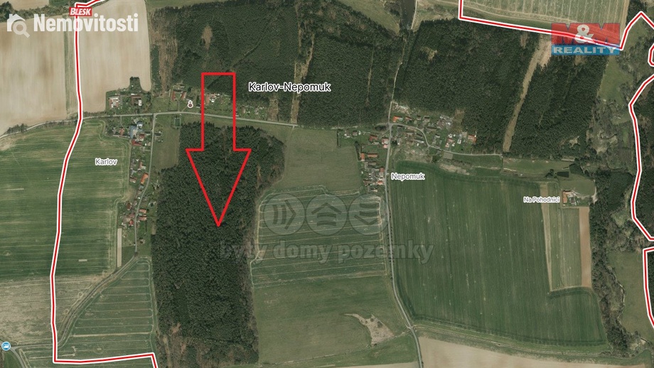 Prodej lesa 6 005 m², Dražíč