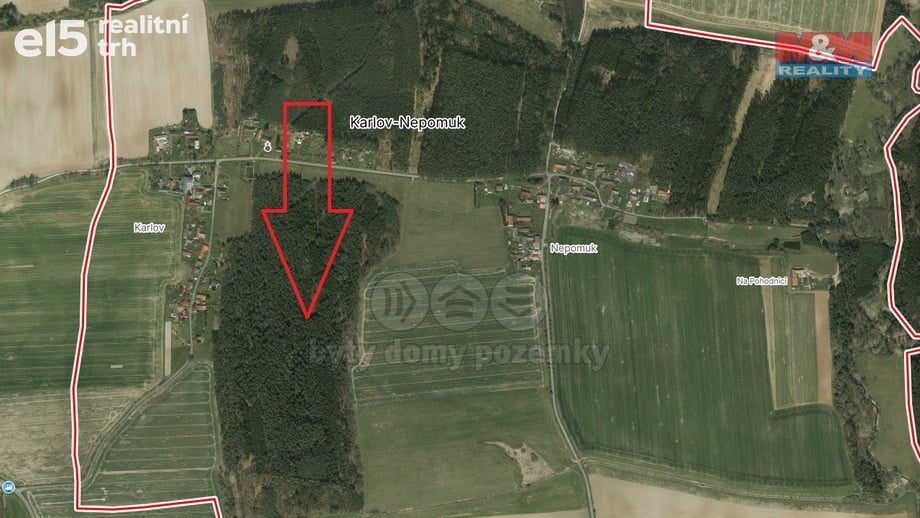 Prodej lesy, 6 005 m² - Dražíč