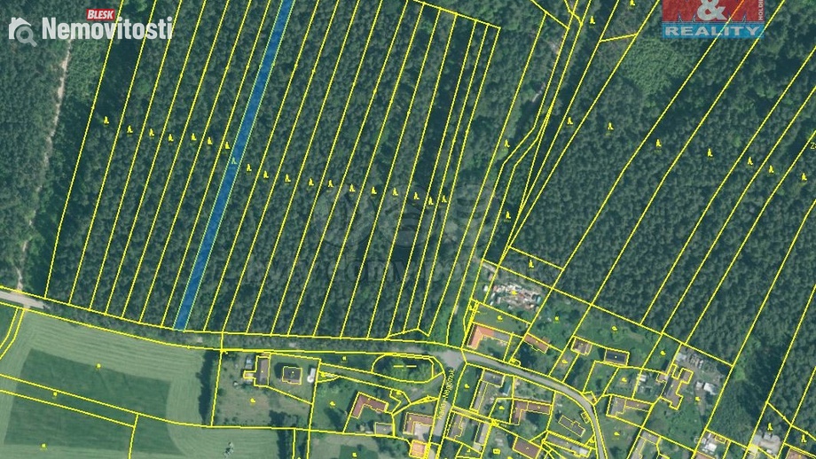 Prodej lesa 2 085 m², Dražíč