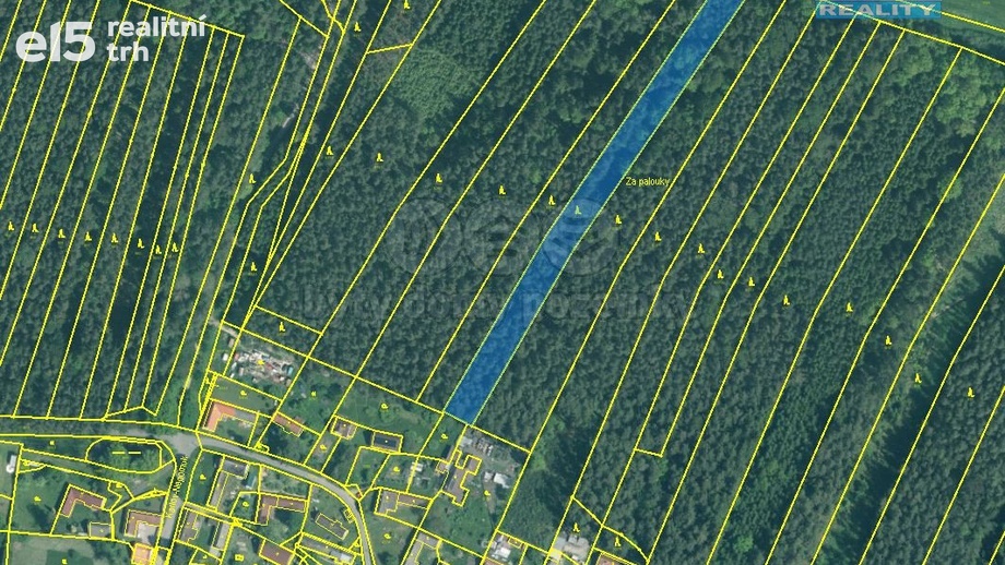 Prodej lesy, 5 161 m² - Dražíč
