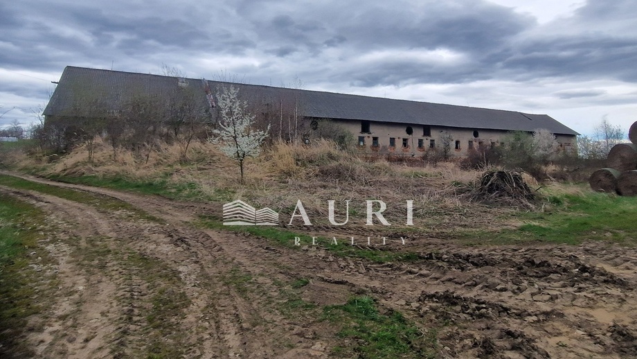 Prodej výrobního prostoru 10 453 m², Jankov - Bedřichovice