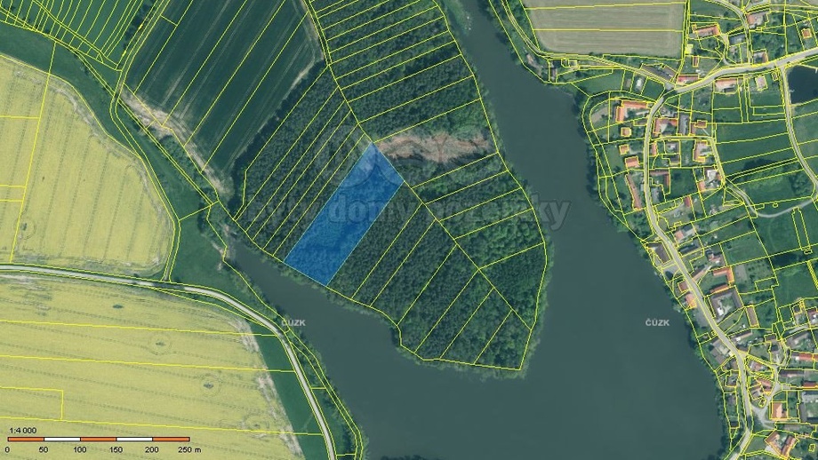 Prodej lesa 13 225 m², Borovany