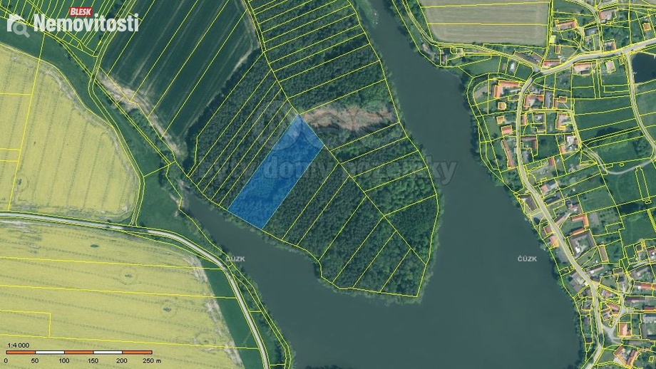 Prodej lesa 13 225 m², Borovany