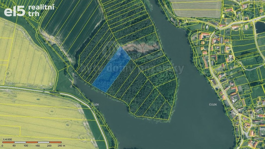 Prodej lesy, 13 225 m² - Borovany