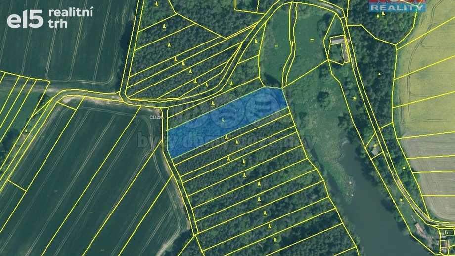 Prodej lesy, 5 318 m² - Borovany