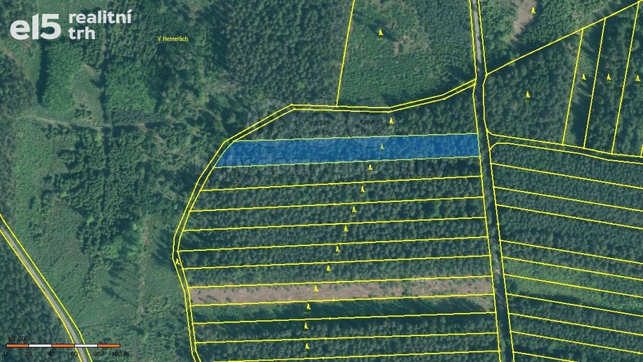 Prodej lesy, 4 751 m² - Bechyně - Hvožďany