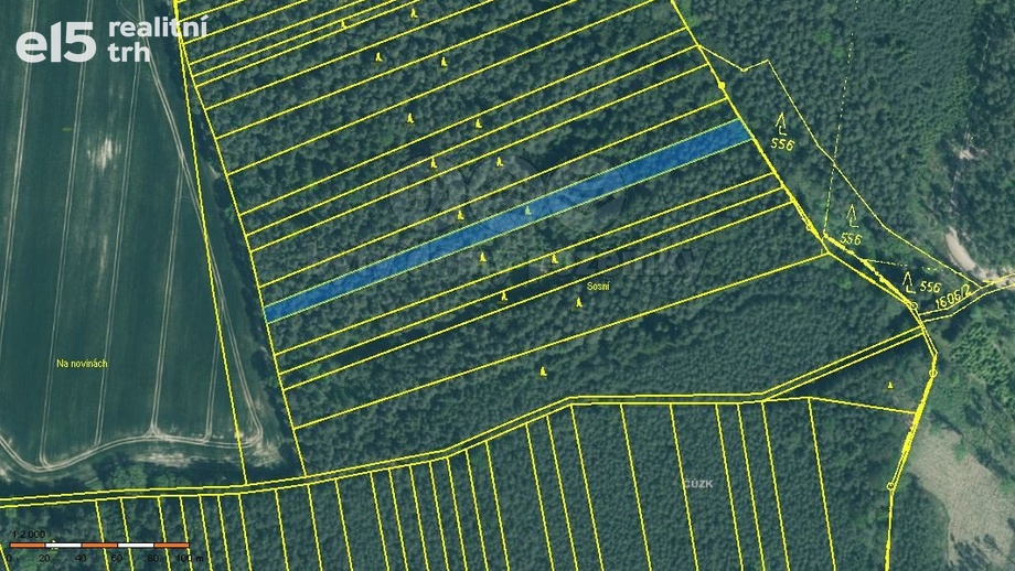 Prodej lesy, 3 179 m² - Bernartice - Zběšice