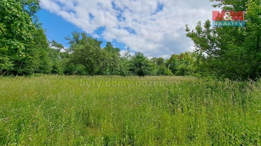 Prodej pozemky - zahrady, 2 649 m² - Kojetín I-Město