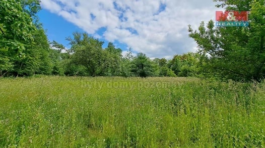 Prodej pozemky - zahrady, 3 307 m² - Kojetín I-Město