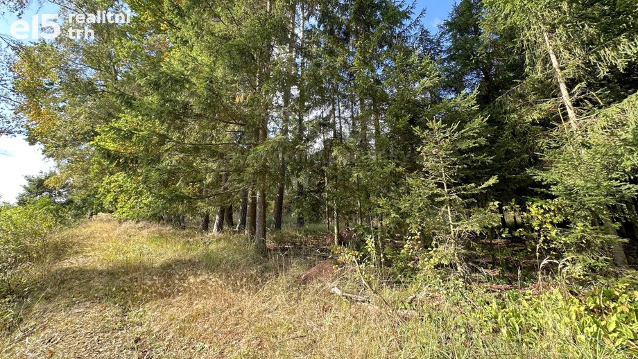 Prodej lesy, 2 678 m² - Chotěmice