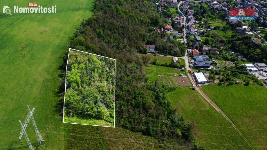 Prodej lesa 5 846 m², Vráž