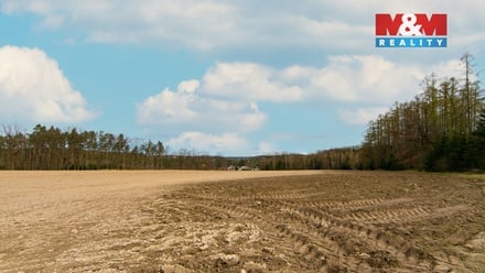 Prodej pole 5 839 m², Předenice
