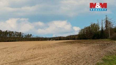 Prodej pole 5 839 m², Předenice