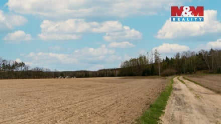 Prodej pole 5 839 m², Předenice