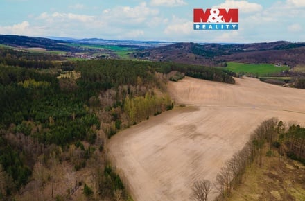 Prodej pole 5 839 m², Předenice