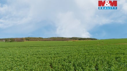 Prodej pole 5 653 m², Čižice