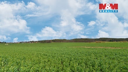 Prodej pole 5 653 m², Čižice