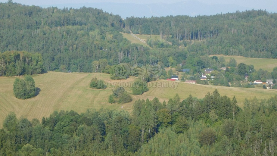 Prodej lesy, 4 932 m² - Skuhrov