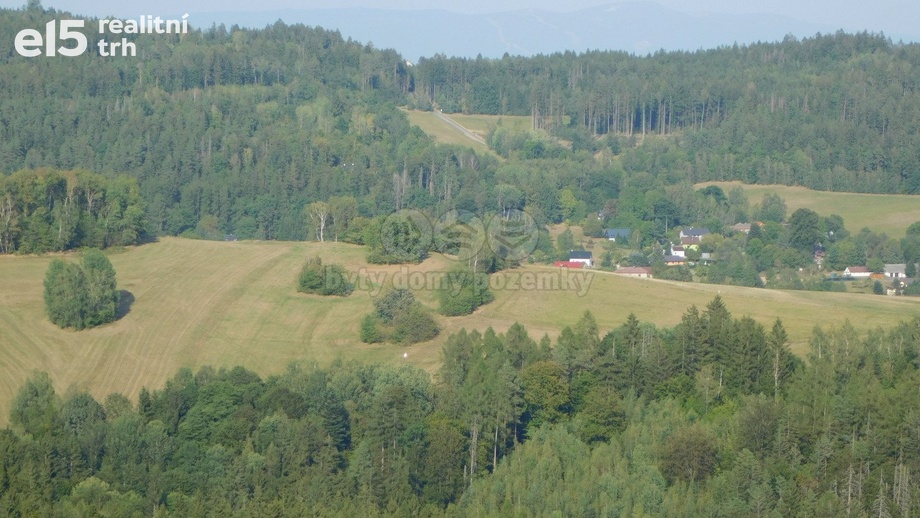Prodej lesy, 4 932 m² - Skuhrov