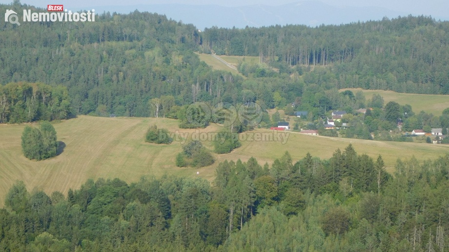 Prodej lesa 4 932 m², Skuhrov