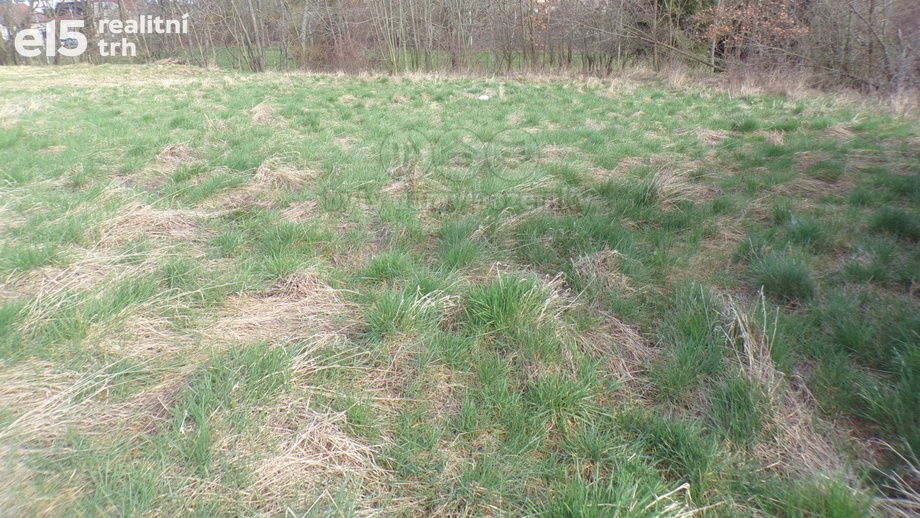 Pronájem pozemky - trvalý travní porost, 4 032 m² - Opatovice I