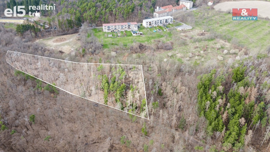 Prodej lesy, 7 378 m² - Bojanovice - Senešnice