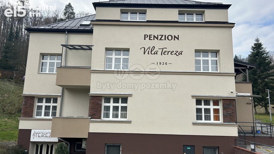 Pronájem restaurace 120 m², Hranice I-Město