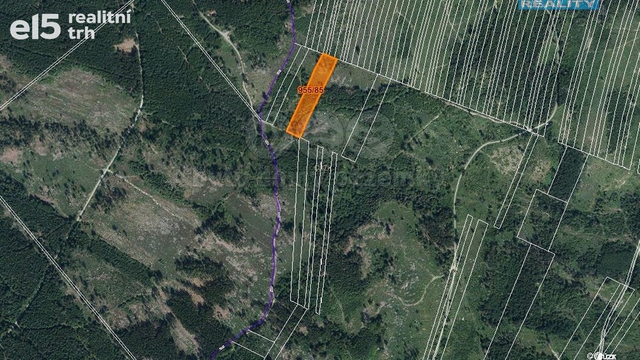 Prodej lesy, 6 092 m² - Nová Hradečná