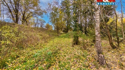 Prodej louky 1 487 m², Rozvadov