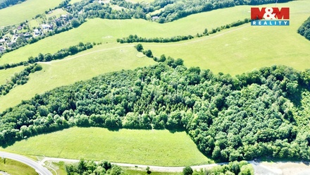 Prodej lesa 12 990 m², Vyšehoří